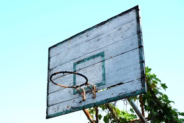 Old basketball hoop with vines — Stock Photo, Image