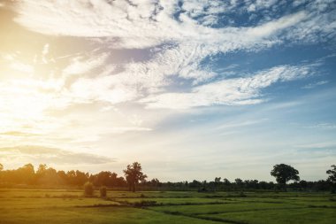 Sabah güneşi gökyüzünde alanıyla