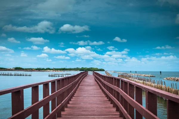 The end bridge and bamboo line