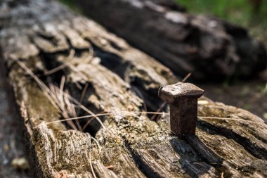 Sabah güneşi eski çivi ile eski demiryolu kravat