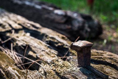 Sabah güneşi eski çivi ile eski demiryolu kravat
