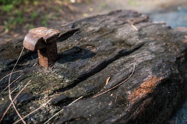 Sabah güneşi eski çivi ile eski demiryolu kravat