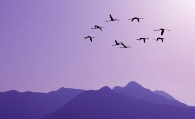 Arka plan Mor manzarada karşı uçan kuşlar 