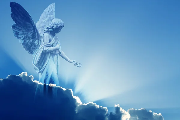 Vacker ängel i himlen — Stockfoto