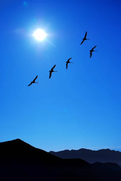Летят птицы над горным ландшафтом с голубым небом — стоковое фото