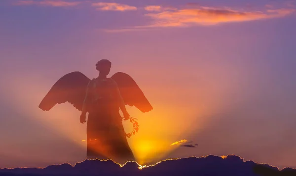 Beautiful angel in heaven — Stock Photo, Image