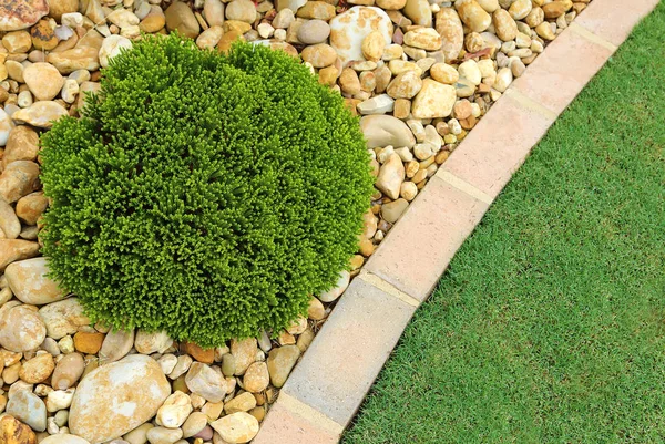 Low Maintenance Landscaping — Stock Photo, Image