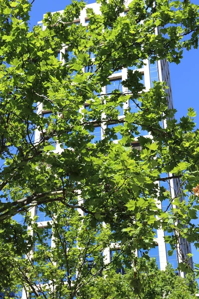 High-rise building in the city — Stock Photo, Image