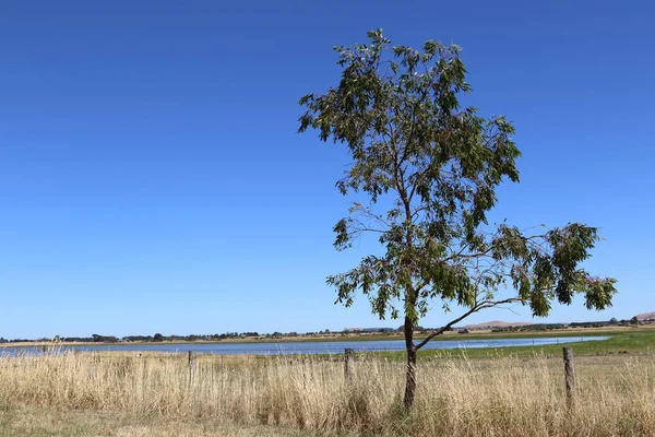 Paisagem rural australiana Lake Colac — Fotografia de Stock