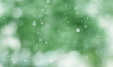 yeşil yumuşak arka plan