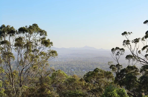 Brisbane Lookout (em inglês) no scenic Mt. Coot-tha — Fotografia de Stock