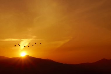 Güneş doğarken Dağların üzerinden uçan kuşlar