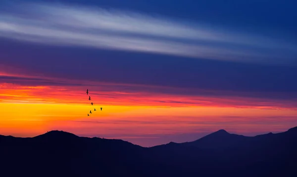 群鸟在日落时天空背景 — 图库照片