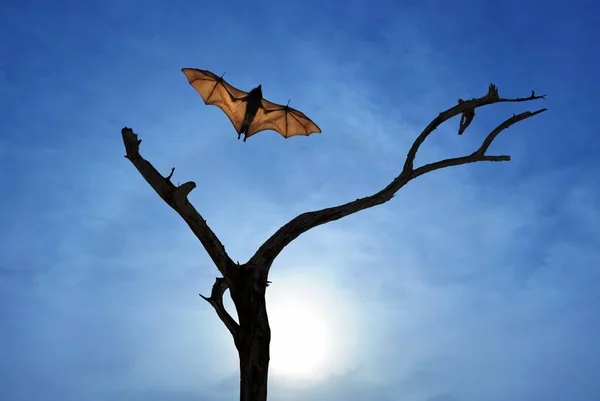 Dead Trees silhouette with flying bat vertical image