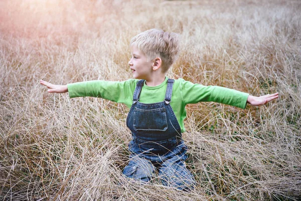 Schattige kleine jongen met open armen aanbrengen op het gras. Jeugd vakanties concept — Stockfoto