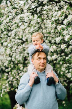 Oğlu sırtımda çiçeği Elma ağacına veren baba.