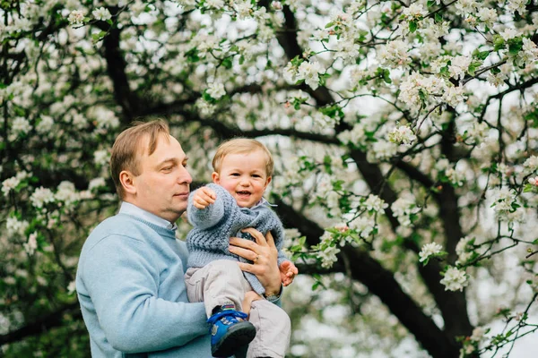 Отец держит маленького сына на руках рядом с цветущей яблоней . — стоковое фото