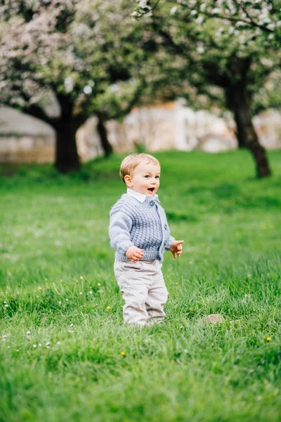 Ładny toddler chłopiec stoi w zielonym ogrodzie. — Zdjęcie stockowe