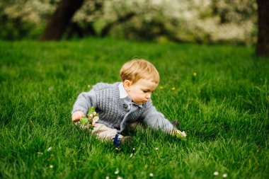 Çimde oturma ve elma ağacının çiçekleri onun elinde tutan şirin todler çocuk.