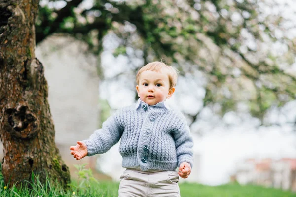 Ładny toddler chłopiec z niebieskie oczy i blond włosy, chodzenie w spring garden w pobliżu kwiat jabłoni. — Zdjęcie stockowe