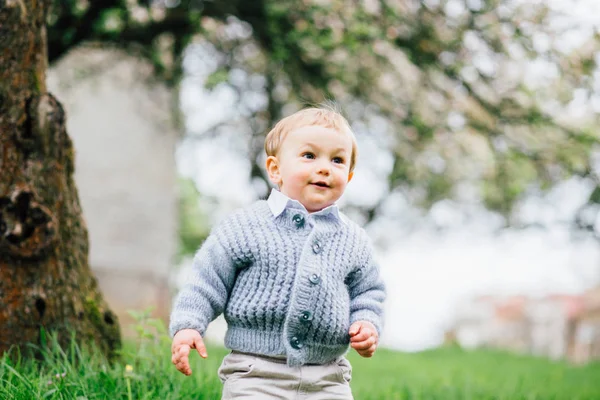 Schattige kleuter jongen met blauwe ogen en blonde haren wandelen in lentetuin in de buurt van bloesem appelboom. — Stockfoto