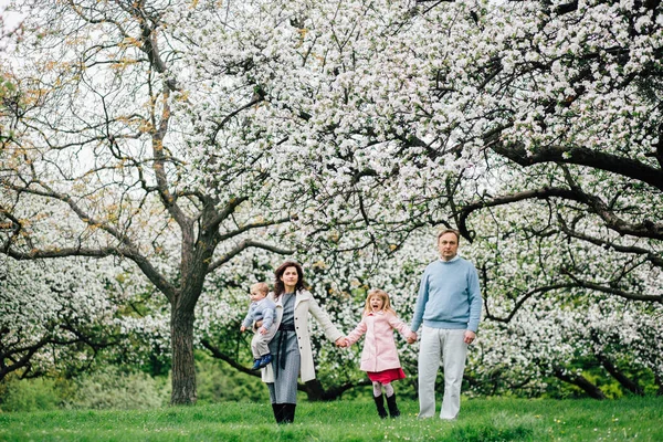 Foto de la serie de familia feliz con dos niños jugando y corriendo en el jardín de manzanos en flor en primavera . —  Fotos de Stock