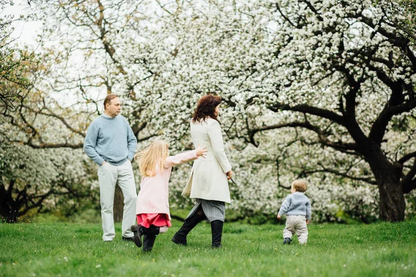 Серия фото счастливой семьи с двумя детьми, играющими и бегающими в цветущем саду яблони весной . — стоковое фото