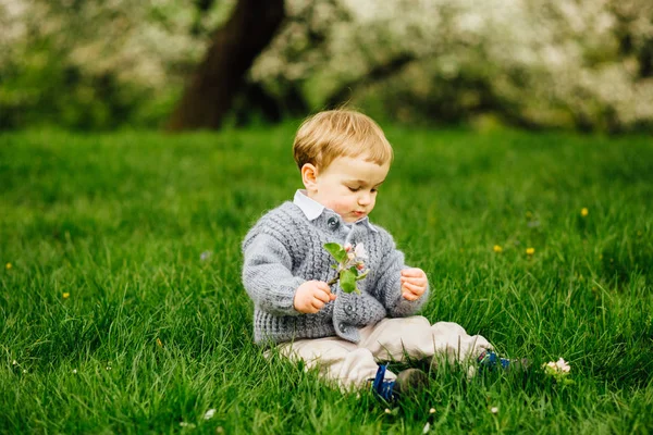 Schattig todler jongen zittend op het gras en de bloemen van de appelboom in zijn handen houden. — Stockfoto