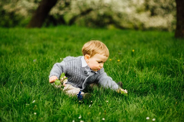 Schattig todler jongen zittend op het gras en de bloemen van de appelboom in zijn handen houden. — Stockfoto