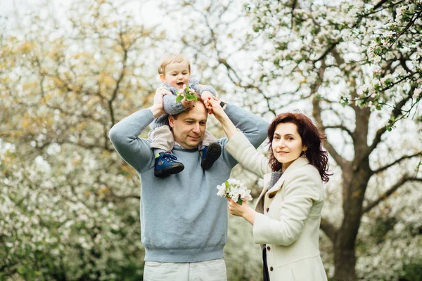 Семья проводит время вместе в парке весной. Мама, малыш и отец гуляют в цветущем саду. Папа катает своего сына на спине к цветущей яблоне . — стоковое фото