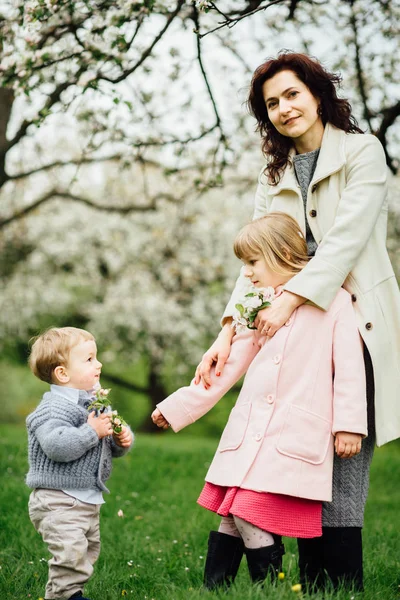 Moeder met twee kinderen in de bloeiende lentetuin apple. Schattige kleine broertje geven bloem zijn zus. Family Love Concept. — Stockfoto