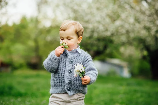 Schattige blonde todler jongen ruikende bloemen van apple boom in het voorjaar bloeiende tuin, zon terug verlichting. Verstevigende foto. — Stockfoto