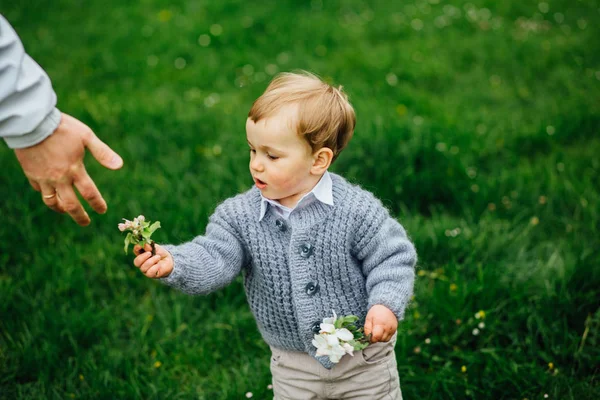 Симпатичный блондинка малыш подарил цветы яблони своего отца весной цветущий сад — стоковое фото