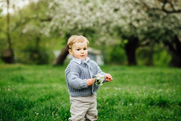 Ładna Blondynka todler chłopiec zapach kwiatów jabłoni na wiosnę kwitnący ogród, słonecznym powrotem oświetlenie. Tonowanie zdjęcie. — Zdjęcie stockowe