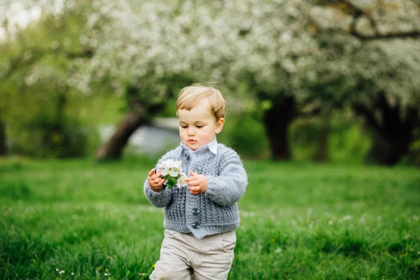 Ładna Blondynka todler chłopca gospodarstwa i oglądanie kwiatów jabłoni w kwitnący ogród wiosna, słońce, podświetlenie. Tonowanie zdjęcie. — Zdjęcie stockowe