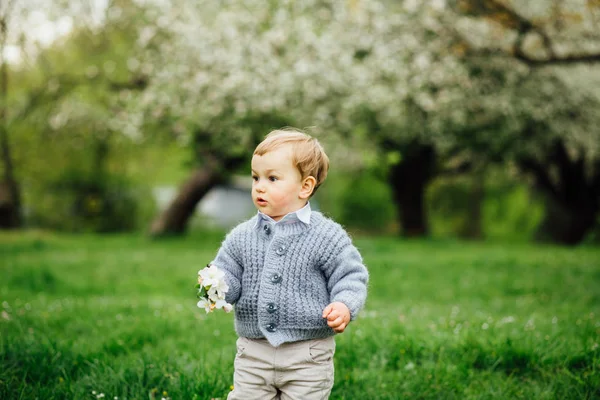 Schattige blonde todler jongen houden en het bekijken van de bloemen van de appelboom in bloeiende lentetuin, sun terug verlichting. Verstevigende foto. — Stockfoto