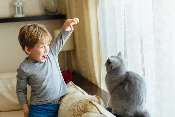 Schattige kleine 5 jaar oude jongen spelen met grijze kat thuis. — Stockfoto