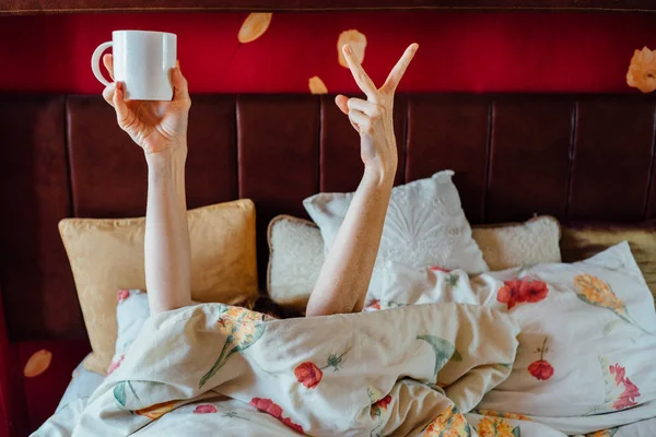 Молодая женщина показывает знак мира и держит чашку за одеялом в кровати. Две женские руки торчат из одеяла. Проснуться утром . — стоковое фото