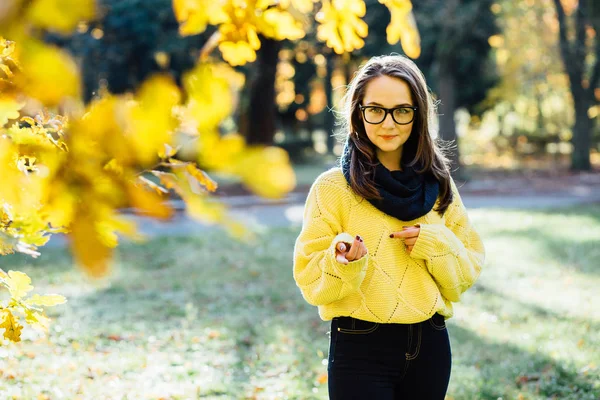 在秋季公园的漂亮学生女孩的肖像 成年女生享受教育 美丽的女性穿着黄色毛衣 围巾和眼镜 回到学校 — 图库照片
