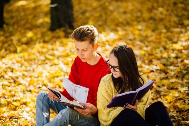 Bir park ve bir kitap okuma serisi fotoğraf güzel esmer kadın güneş gözlüğü ve kırmızı gömlekli arka arkaya düşmüş bir sonbahar üzerinde oturan genç adam bırakır