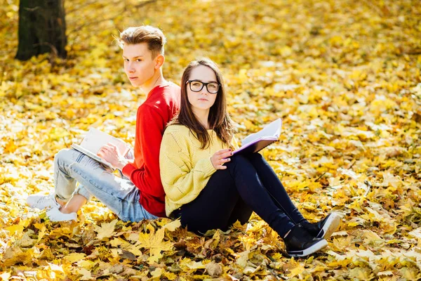 Bir park ve bir kitap okuma serisi fotoğraf güzel esmer kadın güneş gözlüğü ve kırmızı gömlekli arka arkaya düşmüş bir sonbahar üzerinde oturan genç adam bırakır