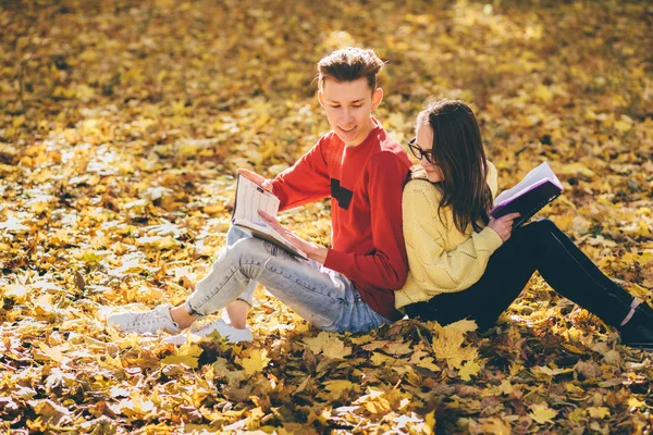 Bir park ve bir kitap okuma serisi fotoğraf güzel esmer kadın güneş gözlüğü ve kırmızı gömlekli arka arkaya düşmüş bir sonbahar üzerinde oturan genç adam bırakır
