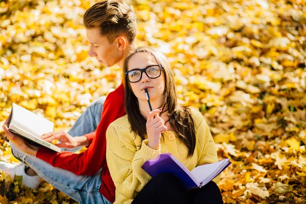 Bir park ve bir kitap okuma serisi fotoğraf güzel esmer kadın güneş gözlüğü ve kırmızı gömlekli arka arkaya düşmüş bir sonbahar üzerinde oturan genç adam bırakır