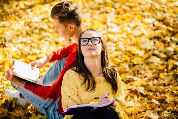 Bir park ve bir kitap okuma serisi fotoğraf güzel esmer kadın güneş gözlüğü ve kırmızı gömlekli arka arkaya düşmüş bir sonbahar üzerinde oturan genç adam bırakır
