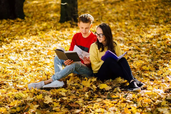 Bir park ve bir kitap okuma serisi fotoğraf güzel esmer kadın güneş gözlüğü ve kırmızı gömlekli arka arkaya düşmüş bir sonbahar üzerinde oturan genç adam bırakır