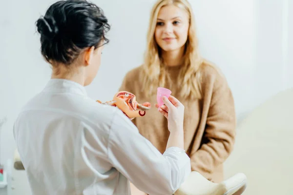 Orvos Nőgyógyász Kezében Anatómiai Modell Méh Menstruációs Csésze Beszél Intim — Stock Fotó