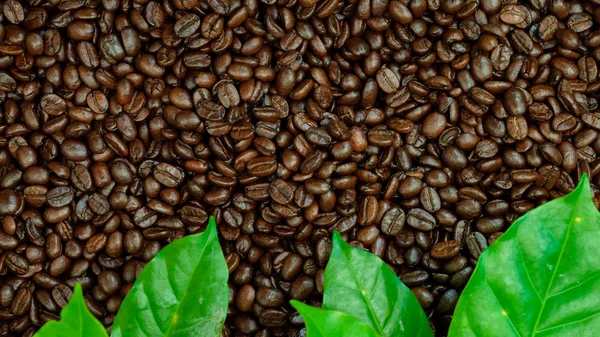 roasted coffee beans, can be used as a background