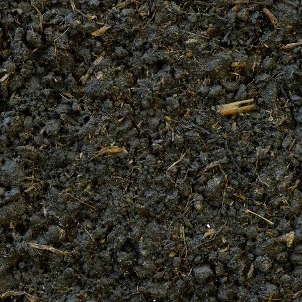 Organic soils surface — Stock Photo, Image