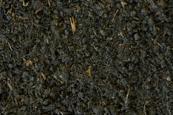 Organic soils surface — Stock Photo, Image