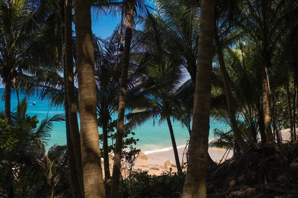 Vista Uma Praia Limpa Privada Através Palmeiras Ilha Paraíso Tailândia — Fotografia de Stock